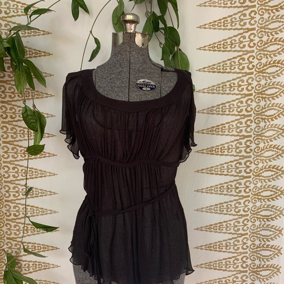 Tahari Tops - NWT Tahari Sheer Silk Laurena Blouse